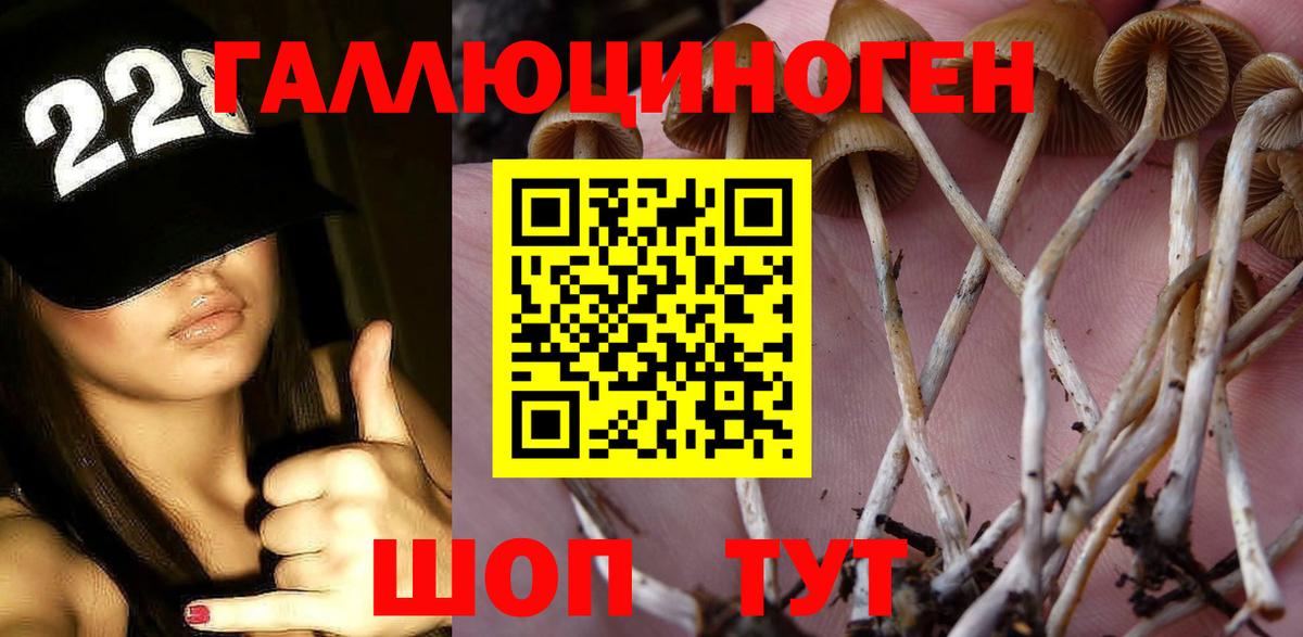 Псилоцибиновые грибы мицелий Шадринск