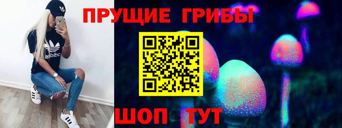 Псилоцибиновые грибы MAGIC MUSHROOMS  Вход с VPN  Псилоцибиновые грибы Cubensis  Шадринск 